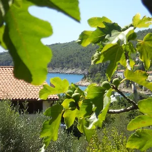 Apartment Ida Sveta Marina, Drenje (Istria)